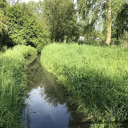 Zielona Noc *